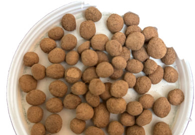 36864B4C-3904-421E-AEB5-D736E3B1739B